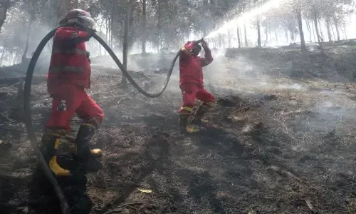 Kemenhut intensif padamkan karhutla di wilayah Riau dan Kepulauan Riau