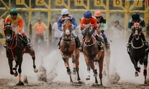 Pecinta pacuan kuda bakal dihibur Jateng Derby 2026, sebanyak 244 kuda tampil