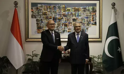 Bertemu PM Pakistan, Menteri Rosan: Danantara Indonesia bisa jadi rujukan