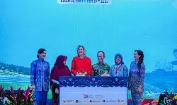 Dirjen Kemenkeu Masyita Crystallin pindah tugas ke Danantara