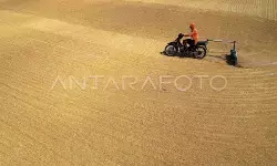 Pengamat tekankan penguatan infrastruktur Bulog hadapi puncak panen