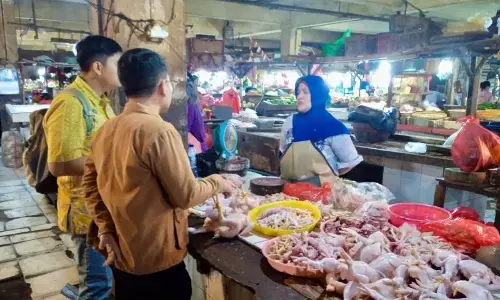 Pemerintah pastikan harga ayam stabil menjelang Ramadhan Pemerintah pastikan harga ayam stabil menjelang Ramadhan