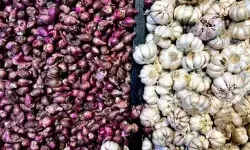 PIHPS: Harga bawang merah Rp44.350/kg, cabai rawit merah Rp76.500/kg
