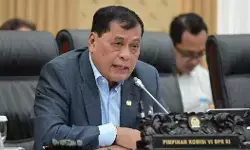 Selisih harga picu antrean solar subsidi, ini kata DPR