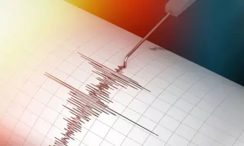 Gempa magnitudo 4,8 guncang Keerom, Papua, Sabtu dini hari