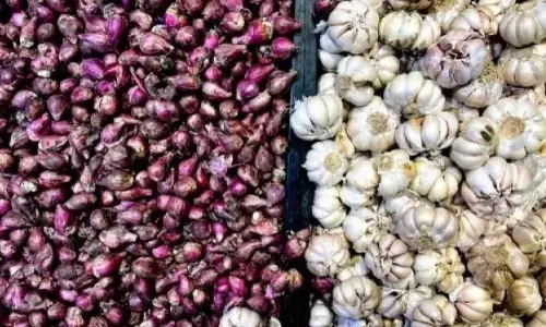 PIHPS: Harga bawang merah Rp44.350/kg, cabai rawit merah Rp76.500/kg