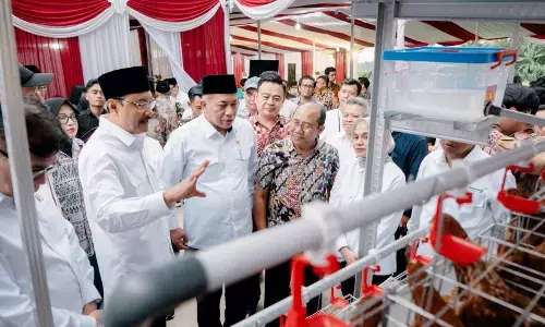 Kemensos gandeng Kopdes Merah Putih, KPM terima ayam petelur