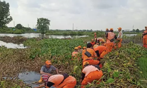 Sudin SDA Jakut  keruk 15 waduk dan kali  optimalkan daya tampung