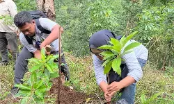 Kampanye peduli lingkungan, PWI Kudus gelar kegiatan wartawan menanam di kereng Muria Kampanye peduli lingkungan, PWI Kudus gelar kegiatan wartawan menanam di kereng Muria