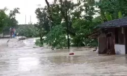 BPBD: Banjir melanda 14 desa di Kabupaten Grobogan