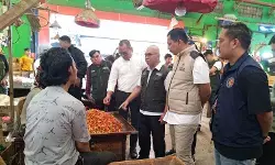 Bapanas siapkan FDP tekan harga cabai rawit di Jakarta