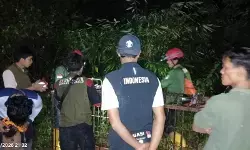 BKSDA Sumbar pasang kandang jebak beruang di Sinuruik Talamau