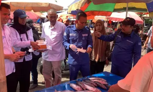 KKP lakukan uji ciguatoxin untuk cegah keracunan ikan di Bengkulu
