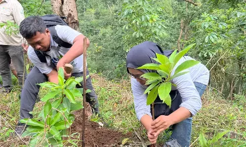 Kampanye peduli lingkungan, PWI Kudus gelar kegiatan wartawan menanam di kereng Muria