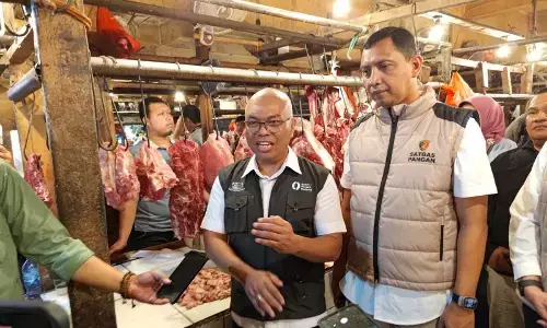 Bapanas sebut cuaca dan tenaga petik penyebab harga cabai rawit naik
