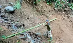 TNGGP tutup jalur menuju Curug Cibeureum karena longsor