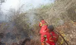 Kemenhut kerahkan 240 personel Manggala Agni padamkan karhutla di Riau