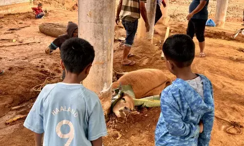 Menjaga lestari tradisi meugang pascabencana