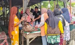 Tradisi munggahan, warga Langkat berburu daging sapi Tradisi munggahan, warga Langkat berburu daging sapi