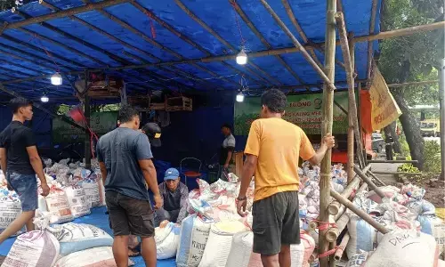 Kolang-kaling jadi buruan warga di Pasar Induk Kramat Jati