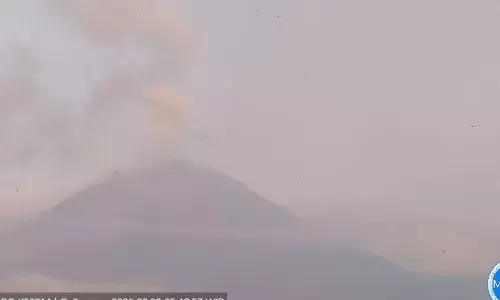 Gunung Semeru tujuh kali erupsi dengan tinggi letusan hingga 1 km