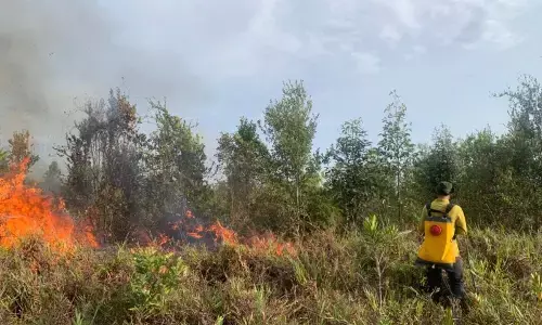 Tim BPBD bergerak aktif tanggulangi karhutla di Sukamara-Kalteng Tim BPBD bergerak aktif tanggulangi karhutla di Sukamara-Kalteng
