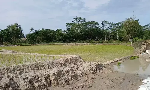 Sawah terendam banjir, petani di Ogan Komering Ilir terima bantuan