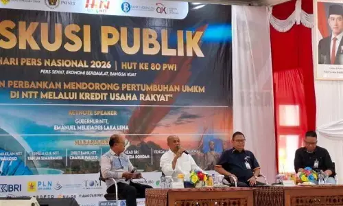 Pengamat: kolaborasi bank dan pemda kunci efektivitas penyaluran KUR