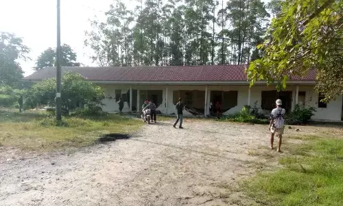 Kawanan gajah liar robohkan bangunan perumahan karyawan di Siak Riau