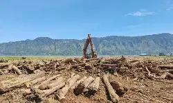 BNPB intensifkan pembersihan lahan pertanian Aceh dari kayu dan lumpur BNPB intensifkan pembersihan lahan pertanian Aceh dari kayu dan lumpur