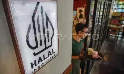 MUI: Pemerintah harus terapkan perlakuan setara soal sertifikasi halal MUI: Pemerintah harus terapkan perlakuan setara soal sertifikasi halal