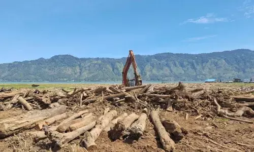BNPB intensifkan pembersihan lahan pertanian Aceh dari kayu dan lumpur