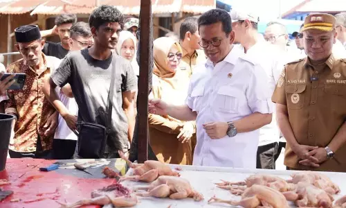 Mendag: Perdagangan telah kembali berjalan di Pidie Aceh