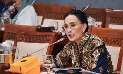 Anggota DPR minta Kemenlu petakan WNI di Meksiko untuk perlindungan