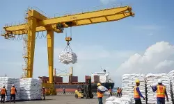 AB2TI tekankan prioritas produksi dalam negeri meski ada impor beras khusus