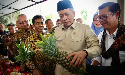 Menkop: Ekspor manggis Koperasi Upland Subang bukti penggerak ekonomi desa