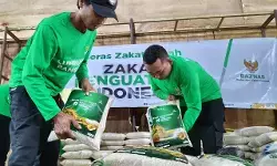 Lumbung Pangan BAZNAS di berbagai daerah mulai siapkan beras zakat fitrah