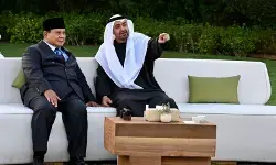 Seskab: Presiden MBZ tegaskan siap tingkatkan investasi di Indonesia Seskab: Presiden MBZ tegaskan siap tingkatkan investasi di Indonesia