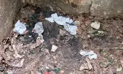 Pemkot temukan alat kontrasepsi usai penertiban di Taman Kota Cawang Pemkot temukan alat kontrasepsi usai penertiban di Taman Kota Cawang