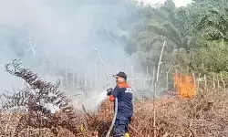 Dua lokasi karhutla seluas 1,2 Ha di Aceh Barat sudah padam