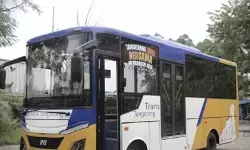Pemkot Tangerang gratiskan layanan transportasi Bus Tayo hari ini