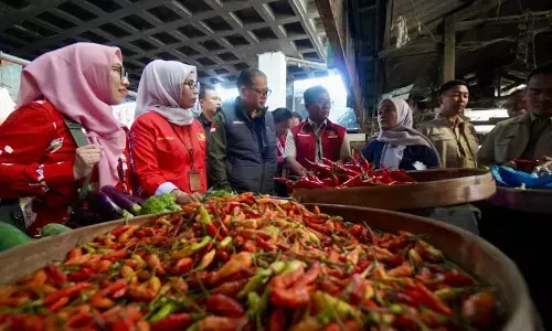 Bapanas pangan strategis wilayah Jatim stabil pasok Ramadan