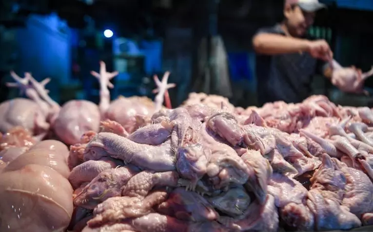 Stok pangan di Jakarta terpantau aman Stok pangan di Jakarta terpantau aman