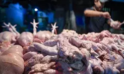 Stok pangan di Jakarta terpantau aman