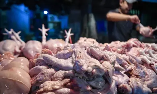 Stok pangan di Jakarta terpantau aman