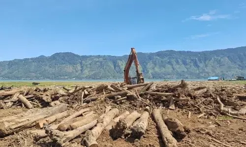 Kemenhut: Pemanfaatan kayu hanyutan Sumatera dilaporkan ke Satgas PRR Kemenhut: Pemanfaatan kayu hanyutan Sumatera dilaporkan ke Satgas PRR