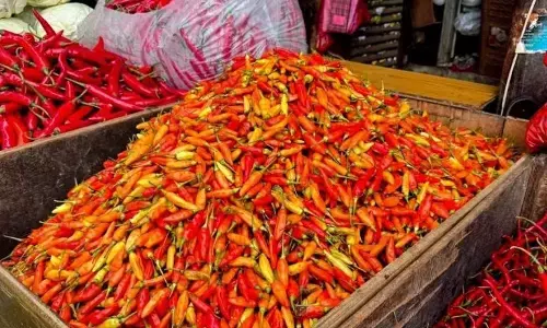 Rabu pagi cabai rawit Rp74.750 per kg, bawang merah Rp44.050 per kg