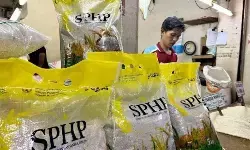 Distribusi beras SPHP 2026 dimulai Maret hingga akhir tahun Distribusi beras SPHP 2026 dimulai Maret hingga akhir tahun