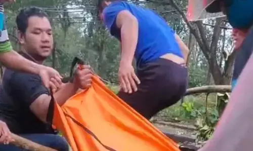 Tiga orang tewas dalam insiden pohon tumbang di Jateng