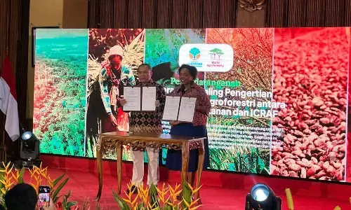 Kemenhut dan ICRAF teken MoU kerja sama pengembangan agroforestri